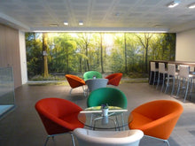 Lade das Bild in den Galerie-Viewer, P230HT - P231HT - P 232HT Wanddekoration Digitaldruckfolie